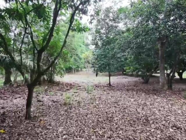 Video Image 1