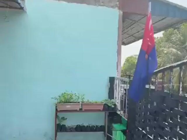 Video Image 1