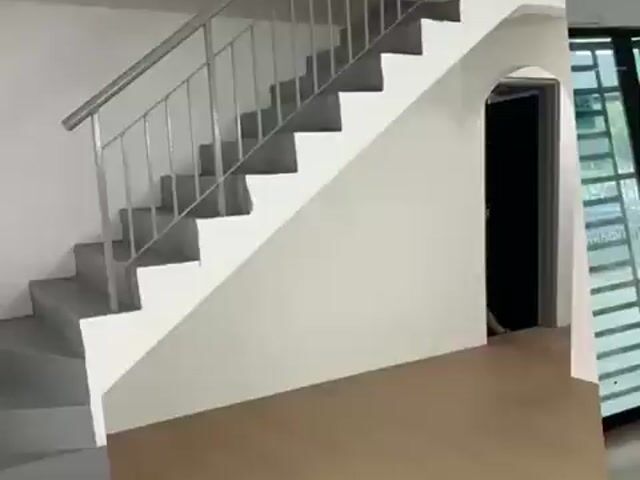 Video Image 1