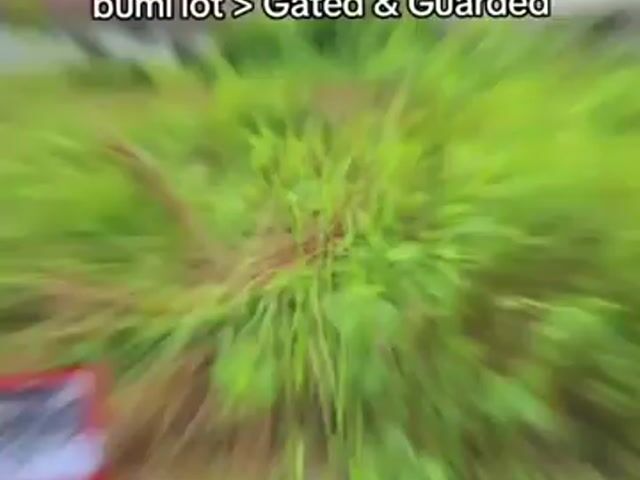 Video Image 1