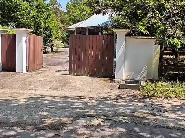 Video Image 1