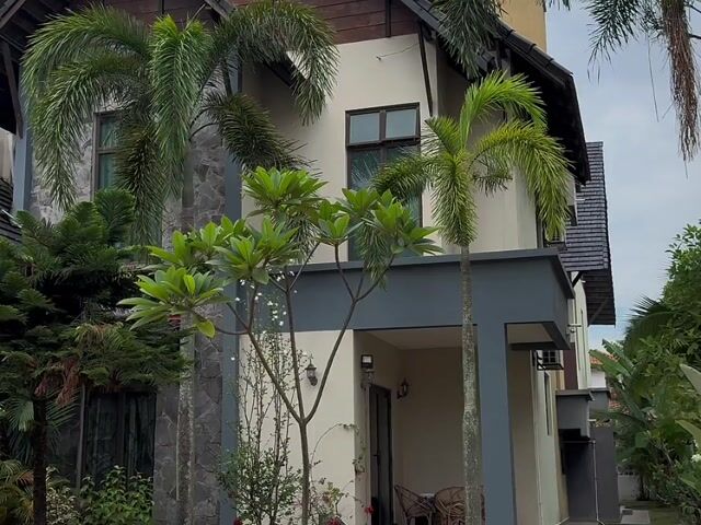 Video Image 1