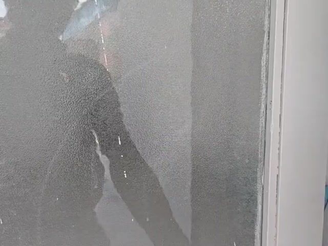 Video Image 1