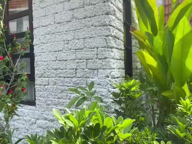 Video Image 1