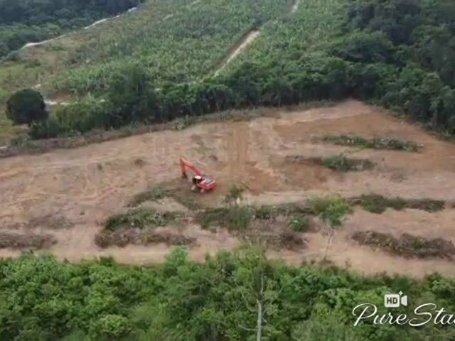 Video Image 1