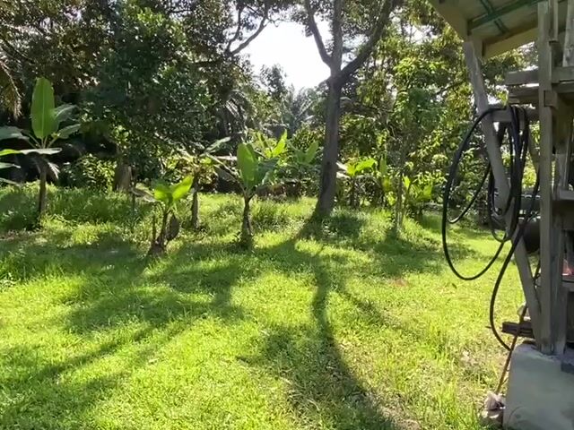 Video Image 1