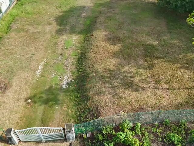 Video Image 1