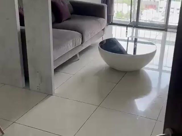 Video Image 1