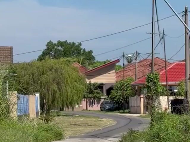 Video Image 1