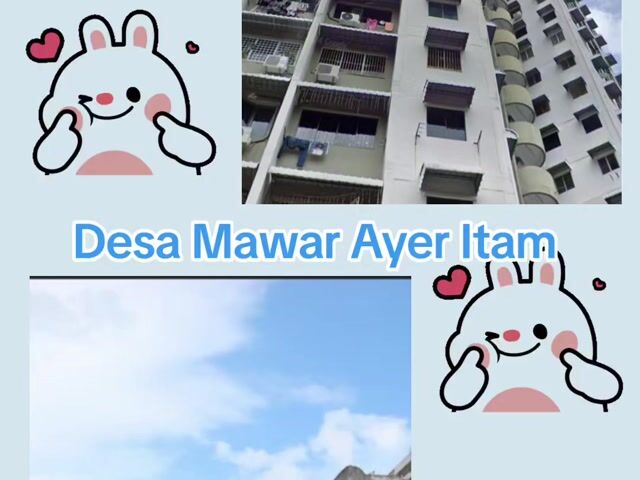 Video Image 1