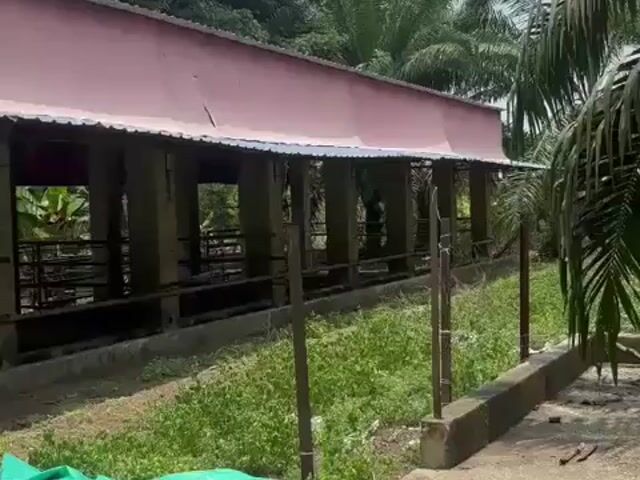 Video Image 1