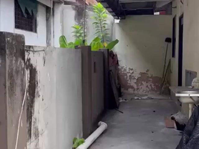 Video Image 1
