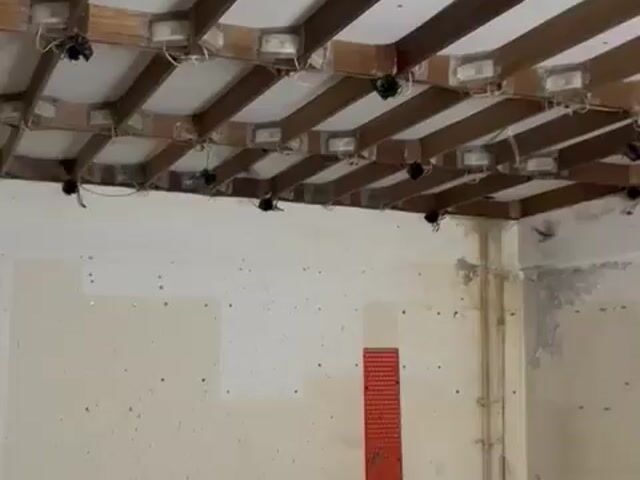 Video Image 1