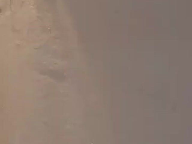 Video Image 1