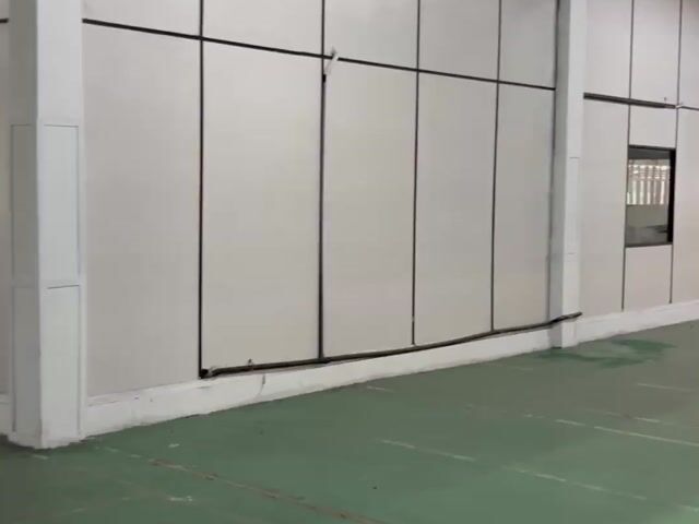 Video Image 1