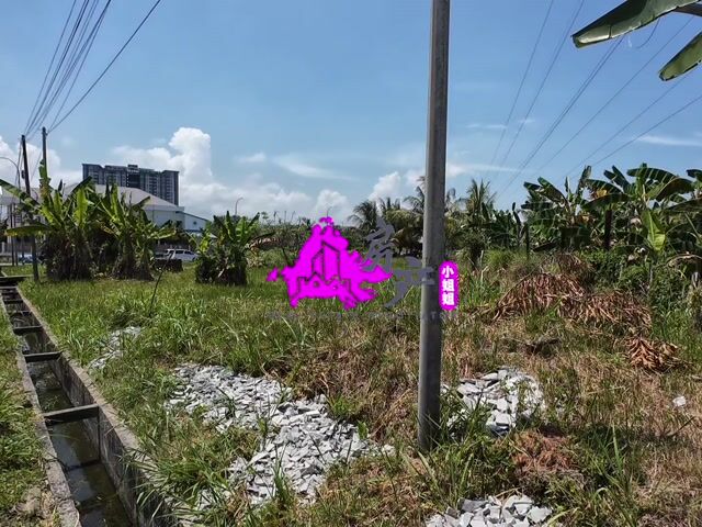 Video Image 1