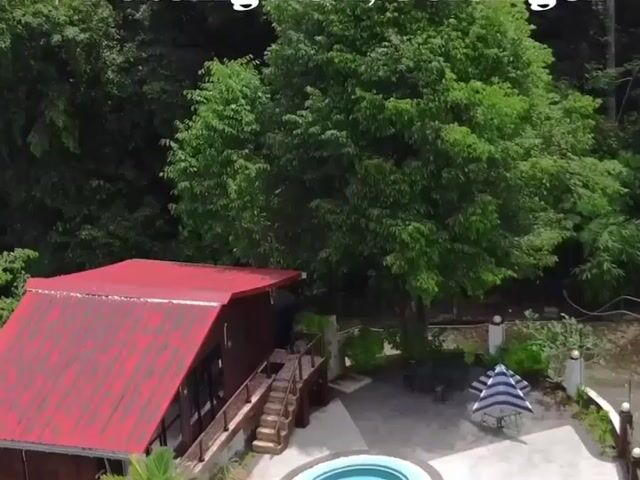 Video Image 1