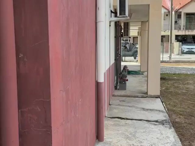 Video Image 1