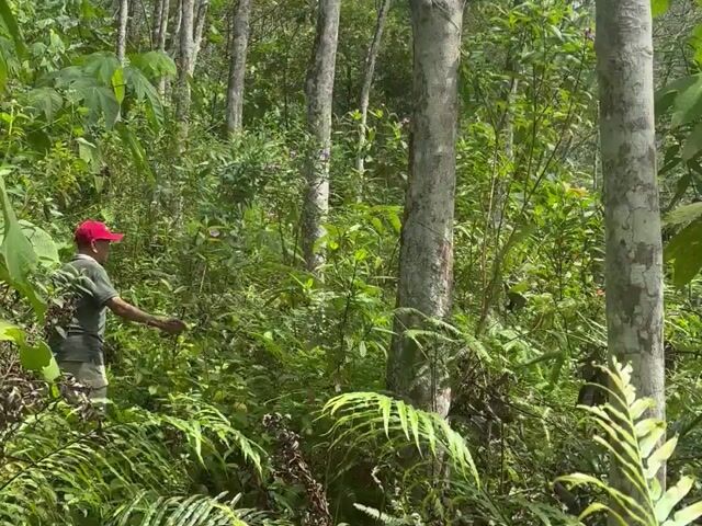 Video Image 1
