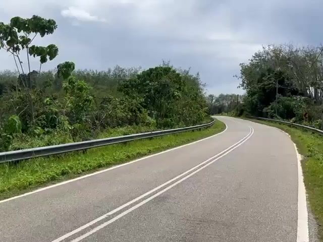 Video Image 1