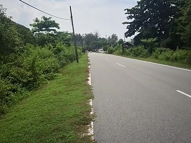 Video Image 1