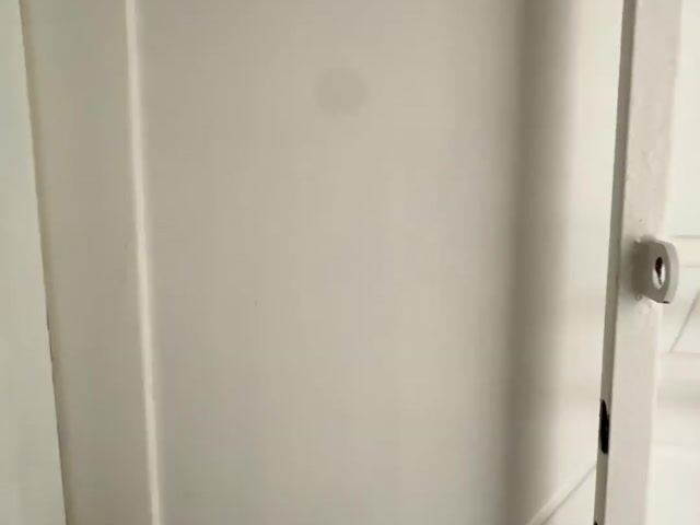 Video Image 1