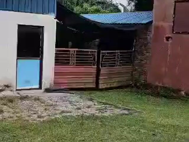 Video Image 1