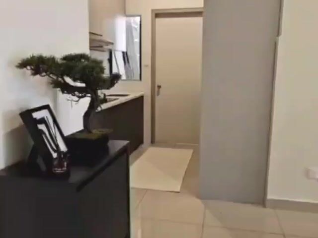Video Image 1
