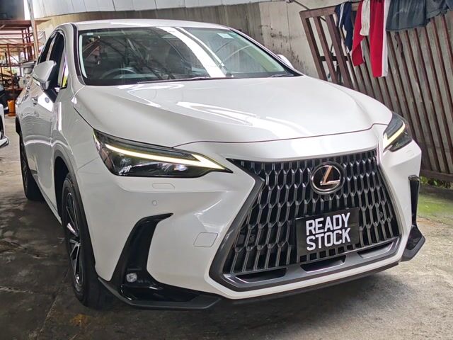 2023 Lexus NX 250 2.5 BASE GRADE (A) - 1