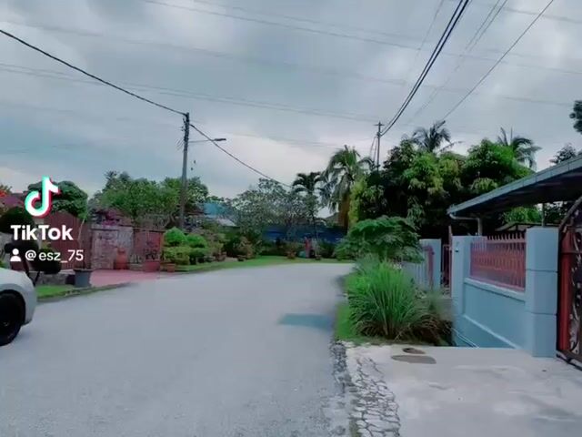 Video Image 1