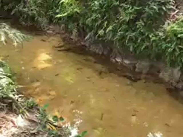 Video Image 1