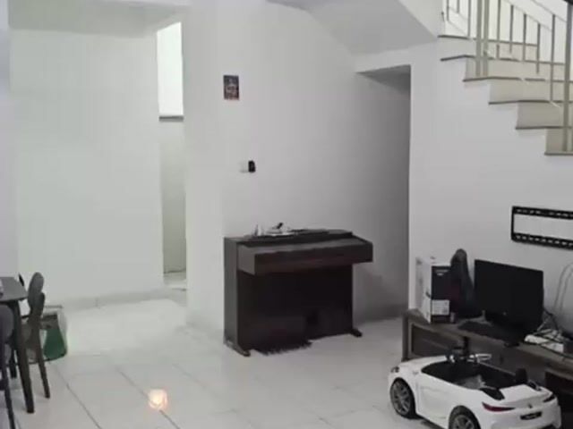 Video Image 1