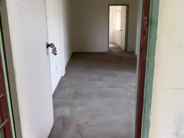 Video Image 1