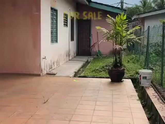 Video Image 1