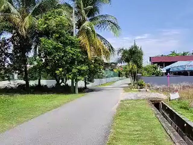 Video Image 1