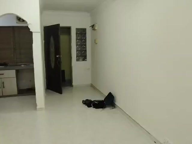 Video Image 1