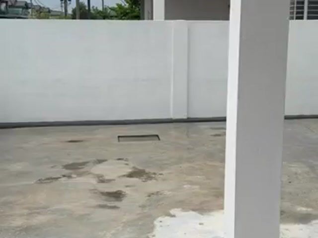 Video Image 1