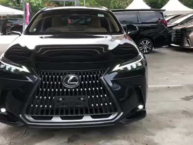 2023 Lexus NX250 2.5 LUXURY HUD 360V BSM P/Roof PS - 1