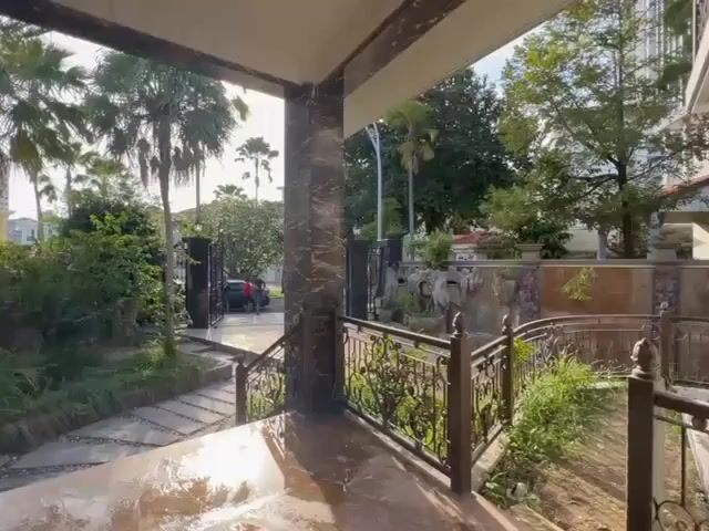 Video Image 1