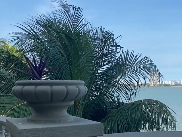 Video Image 1