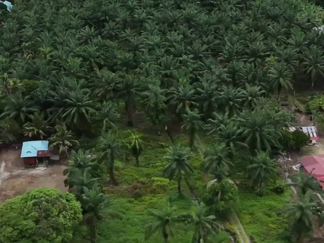 Video Image 1