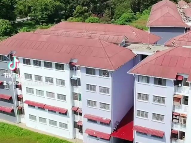 Video Image 1