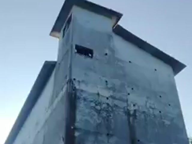 Video Image 1