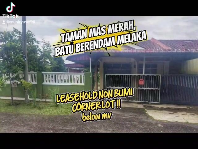 Video Image 1