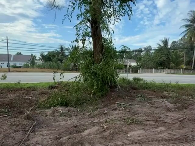 Video Image 1