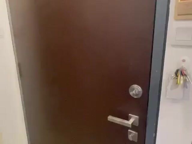 Video Image 1