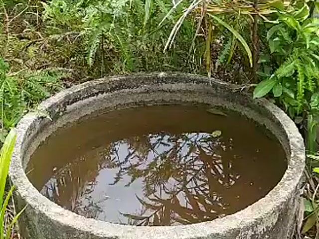 Video Image 1
