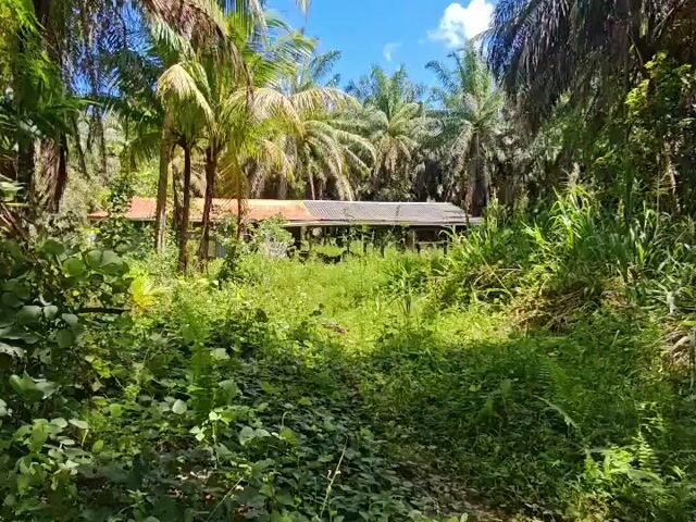 Video Image 1