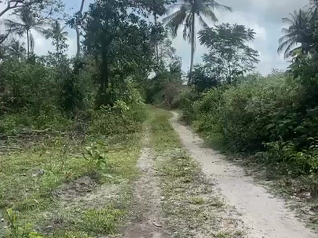 Video Image 1