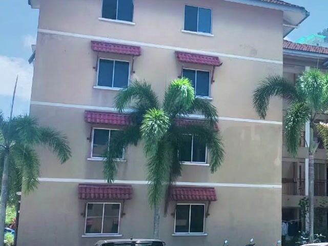 Video Image 1